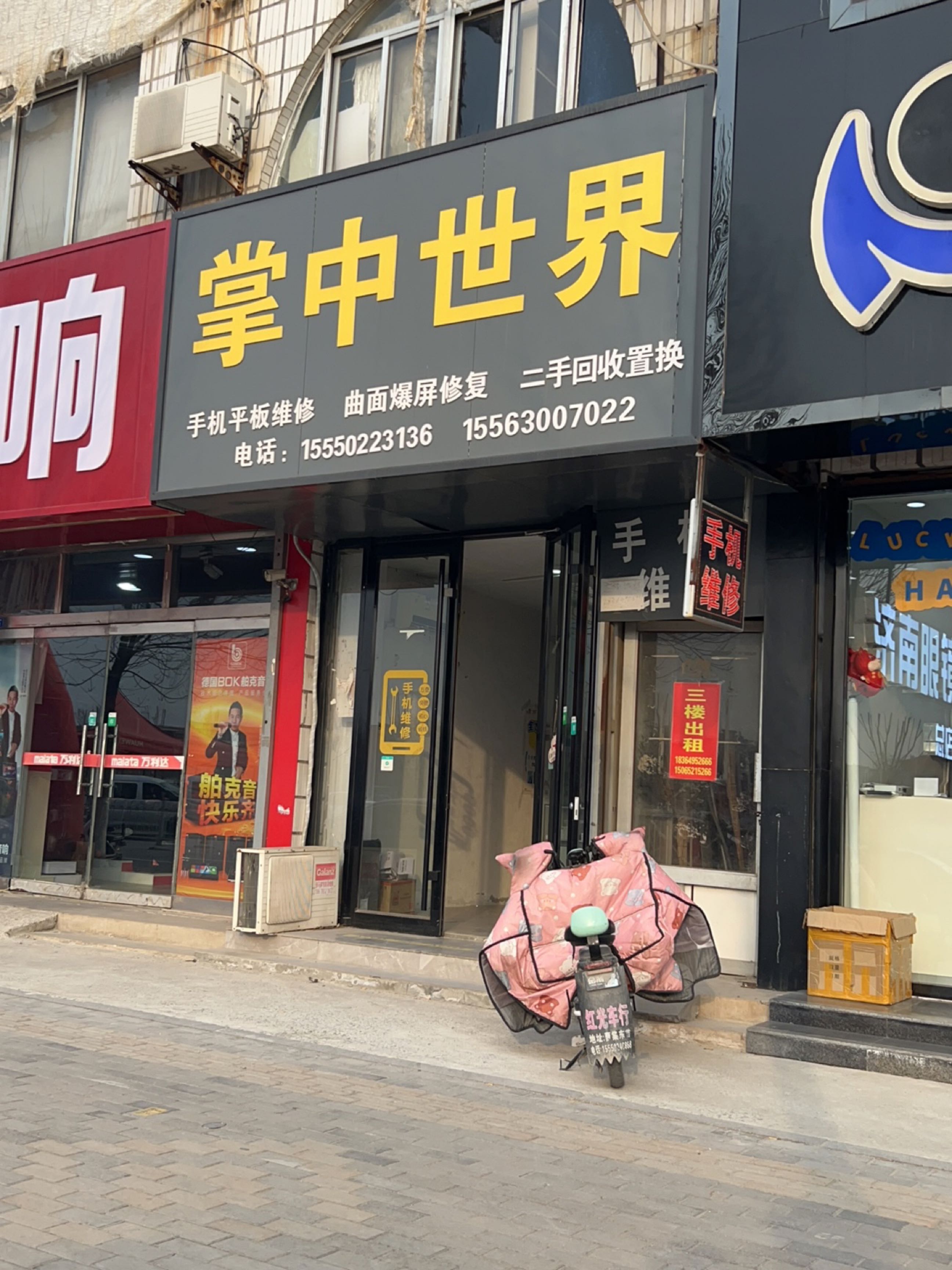 掌中世界