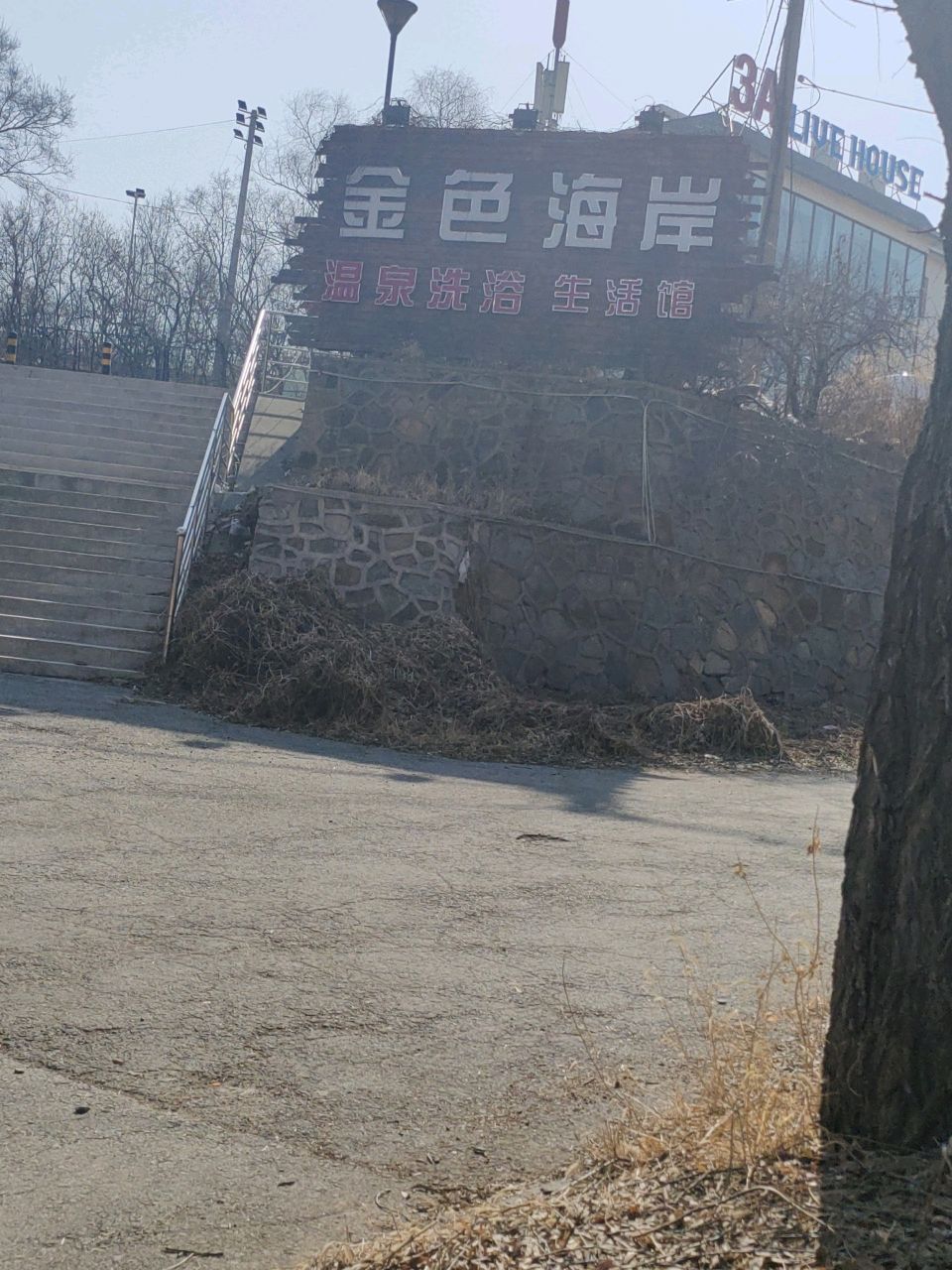 金色海岸