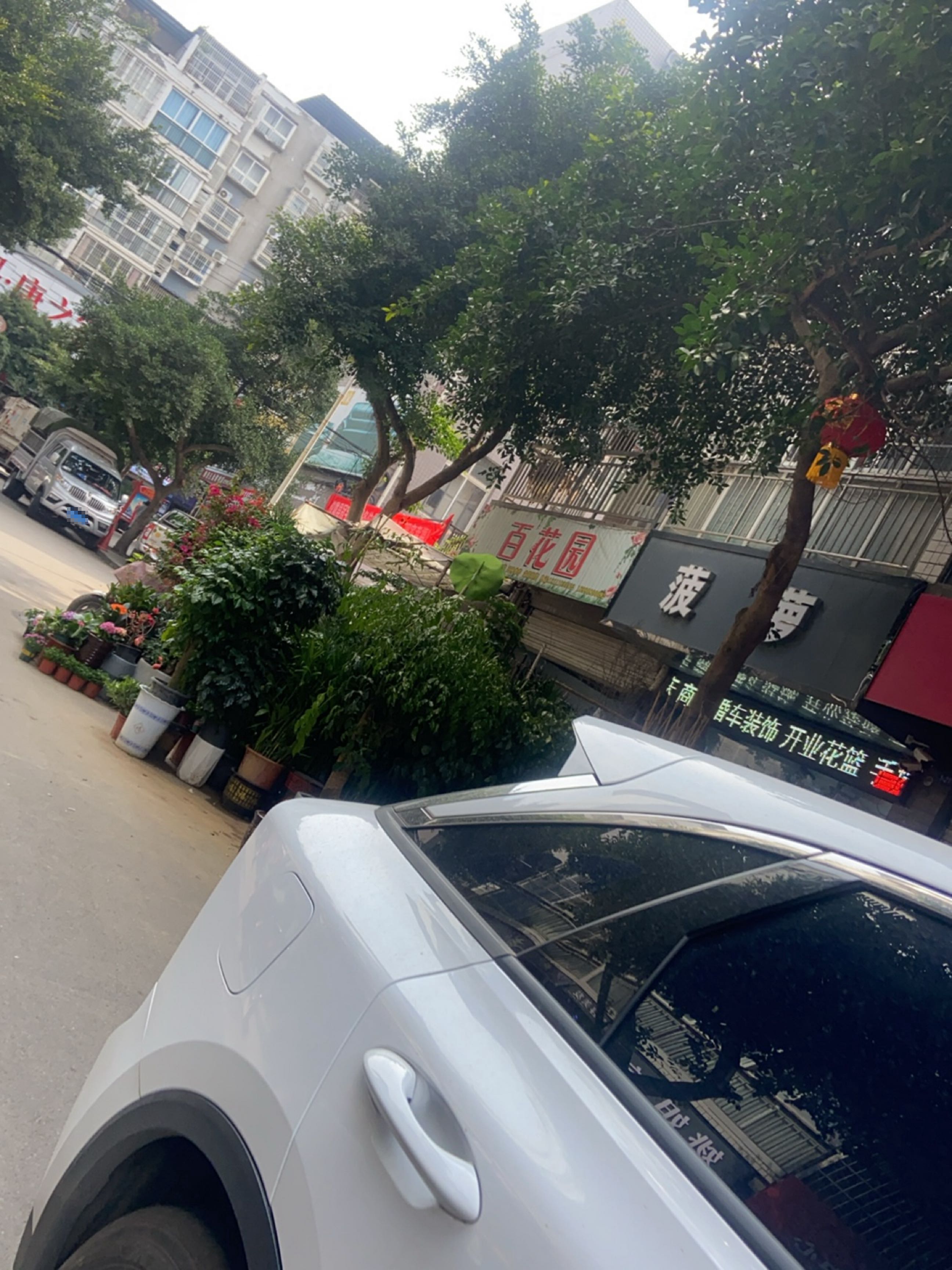 百花园(松海路安置区东区店)