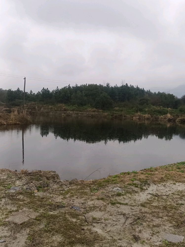 青山钓场