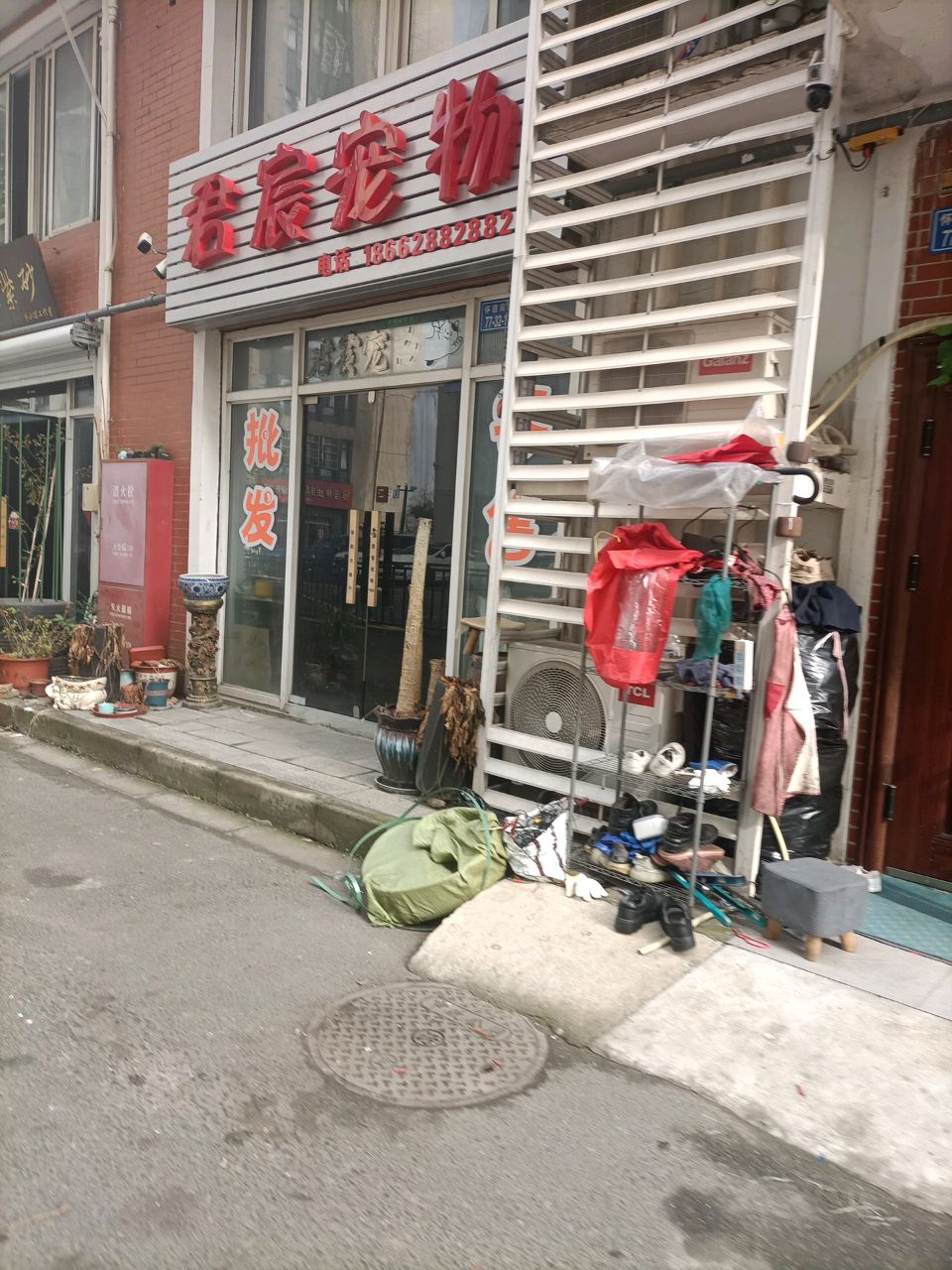 君宸宠物