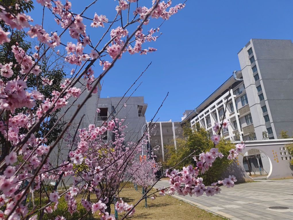 湖南中医药高等专科学校(云龙校区)