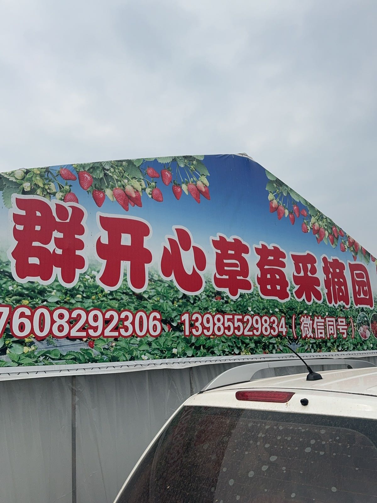 群开心草莓采摘园