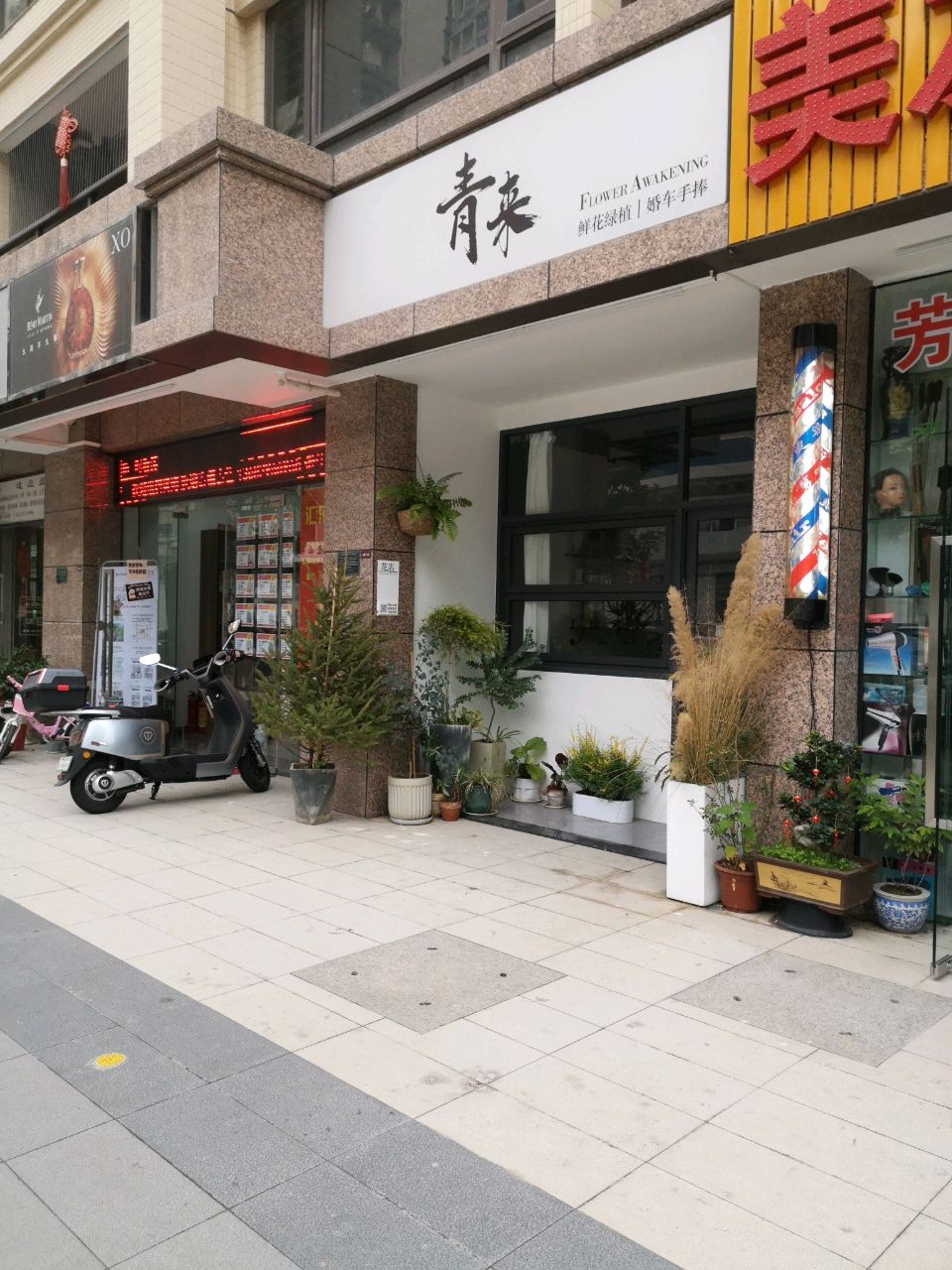 青来Flower Aweakning(汇悦春天花园二区店)
