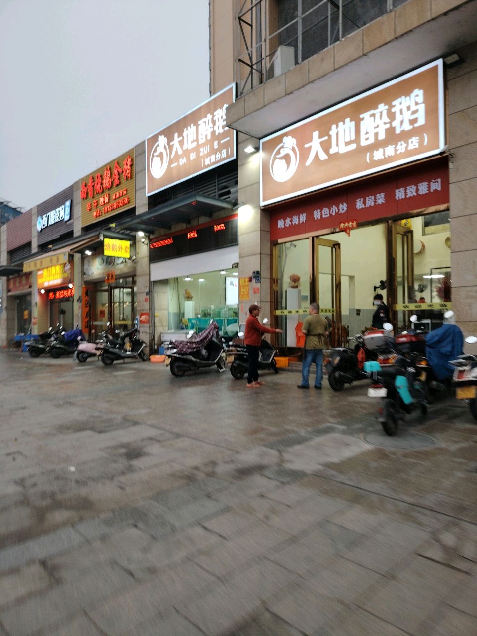 大地醉鹅·阳江特色(城南店)