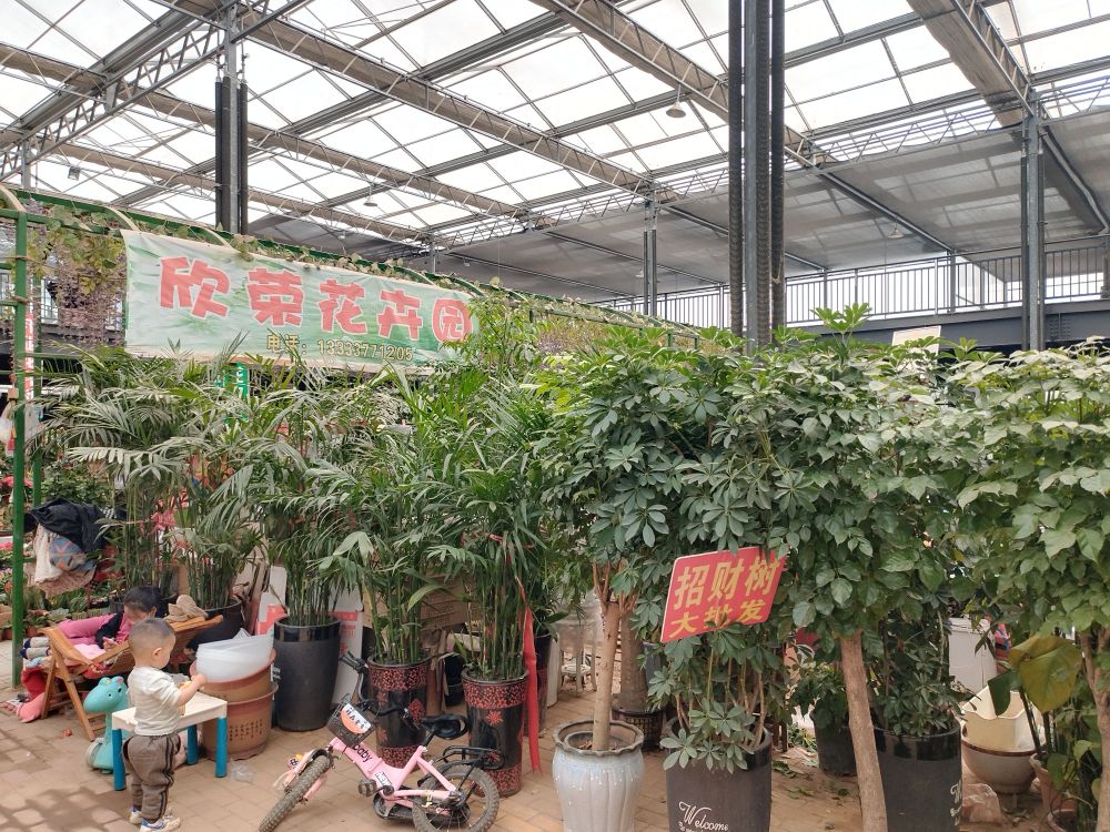 宛城区欣荣花鸟店