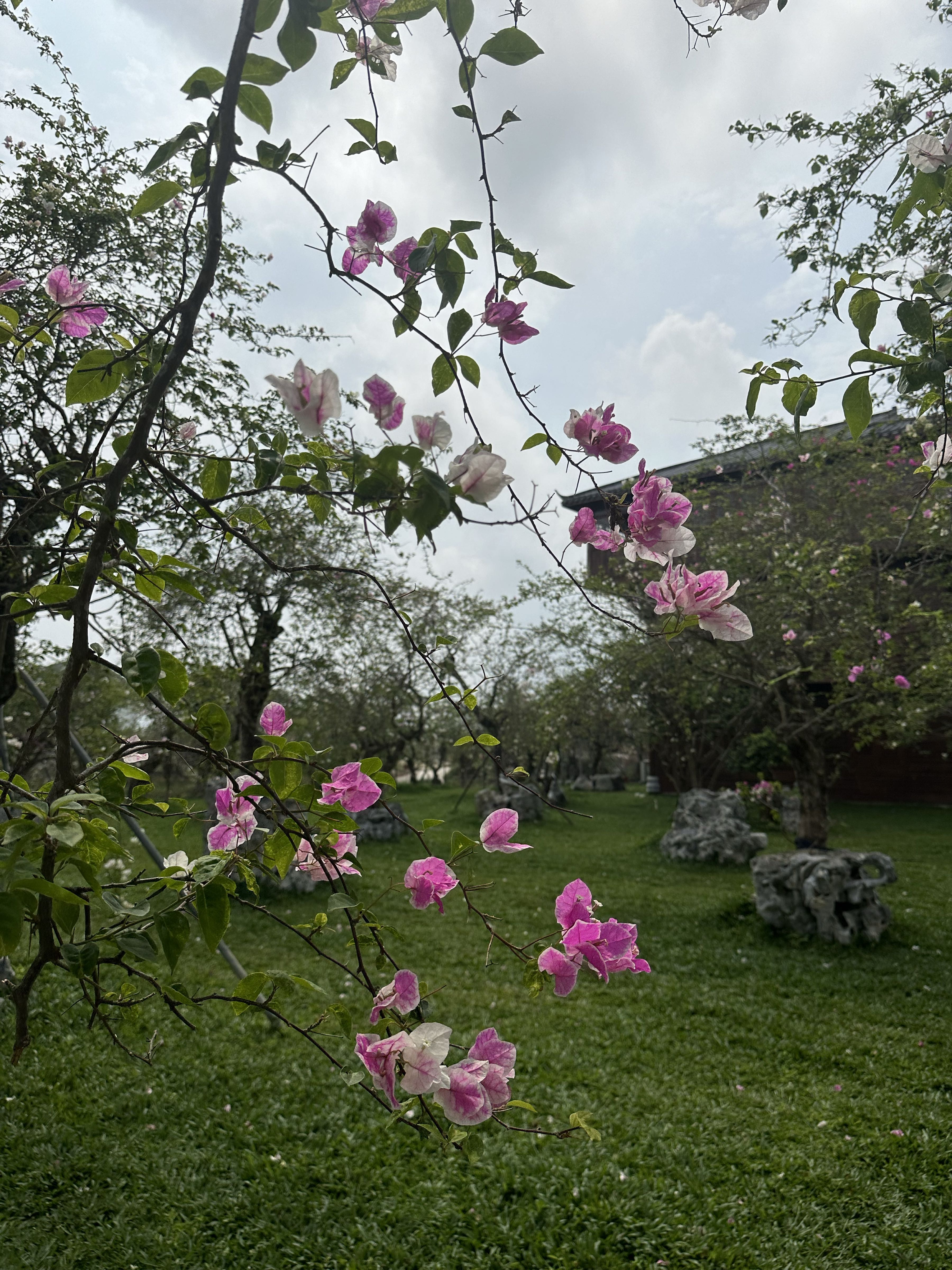 南湾花镇度假旅游景点