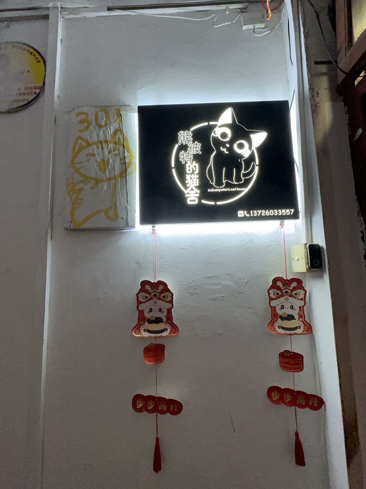 中山熊比特宠物服务工作室