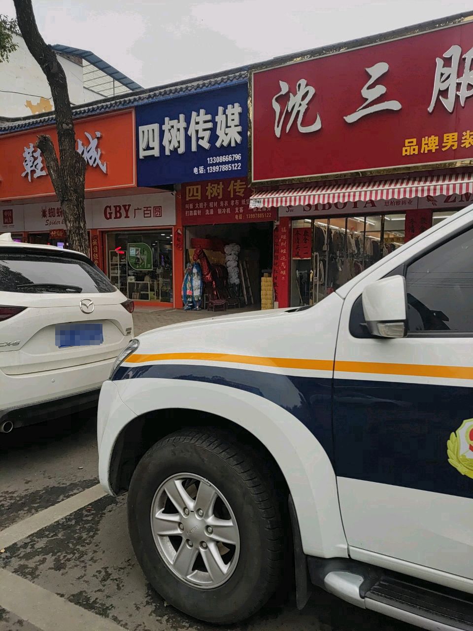 四树传媒
