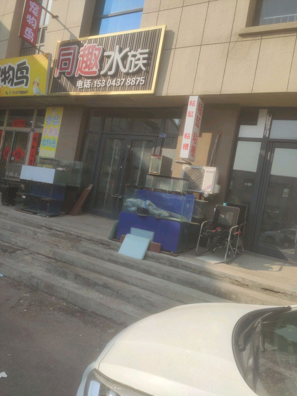 猫小巷宠物店