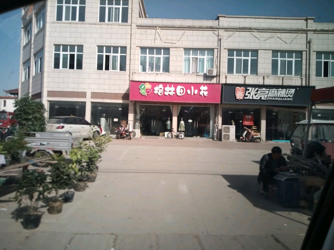 沈丘县赵德营镇格林田小花(赵德营店)