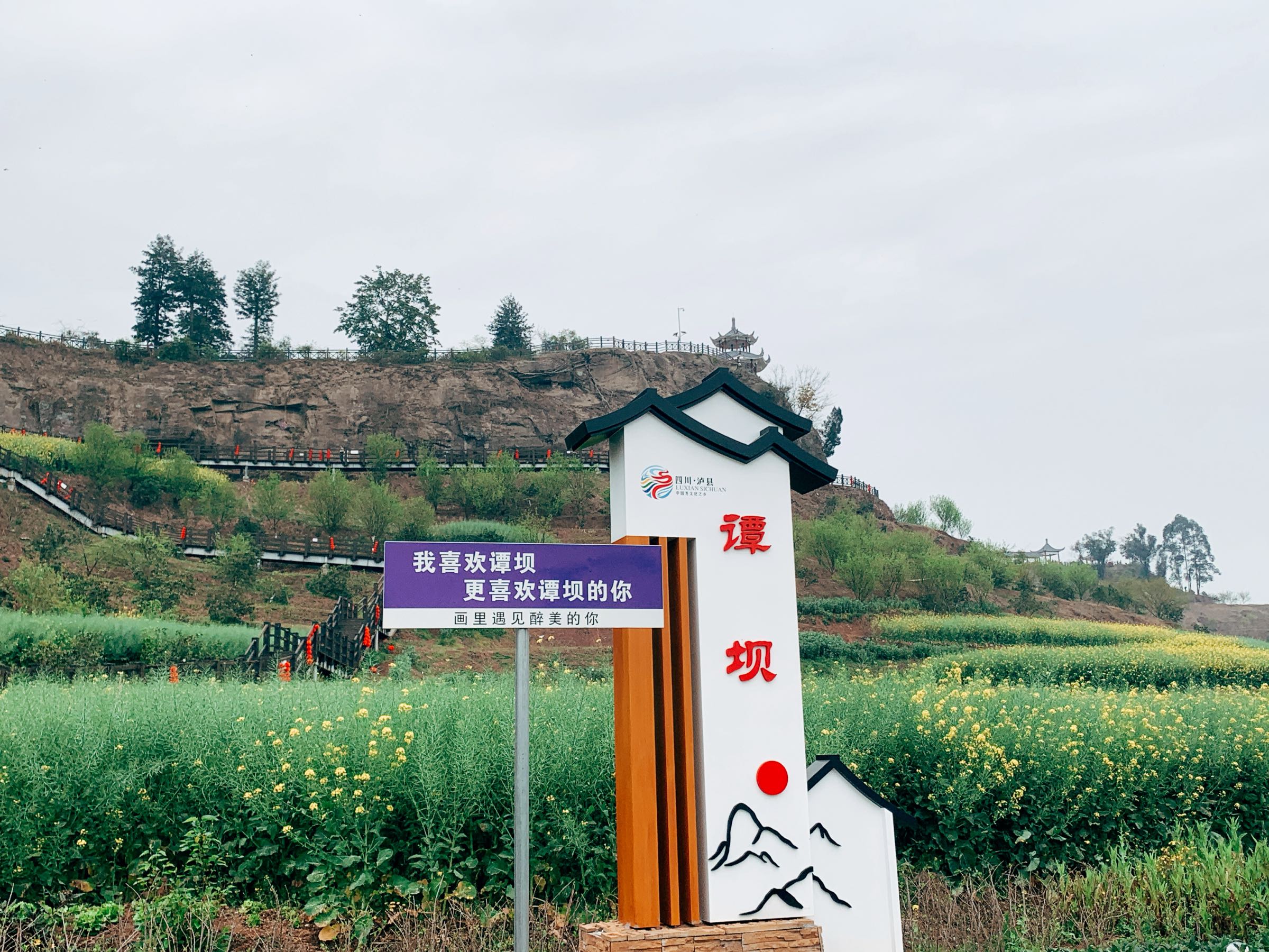 泸县谭坝千亩油菜花海
