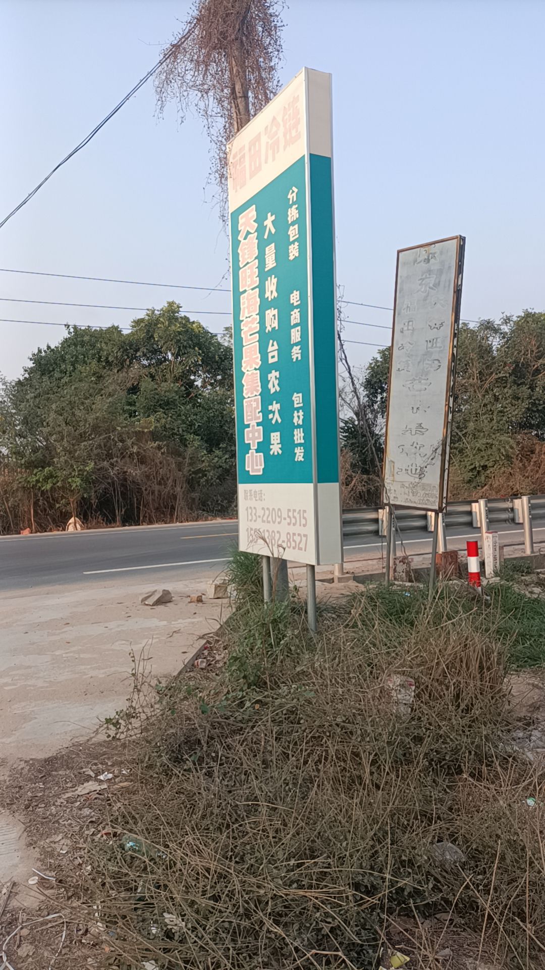 天锋旺海芒果集配中心