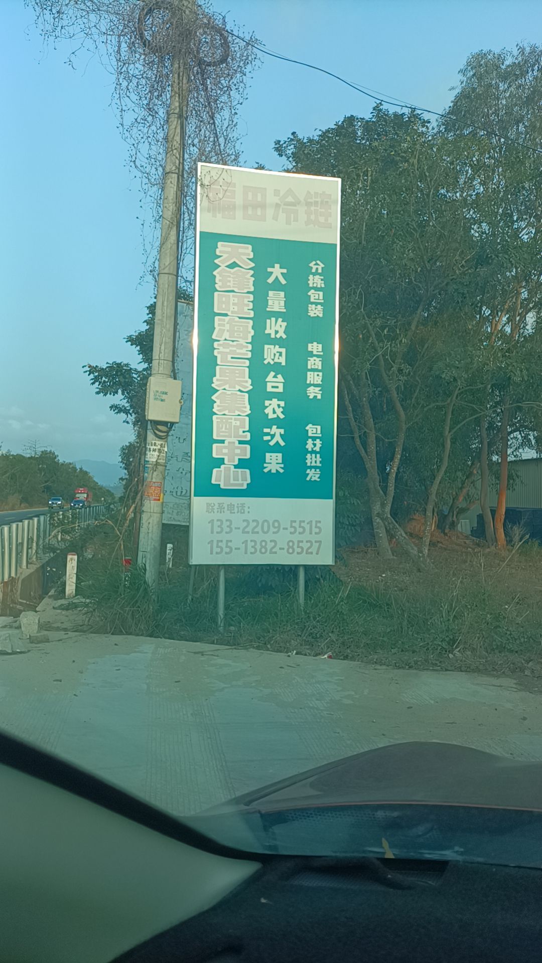 天锋旺海芒果集配中心