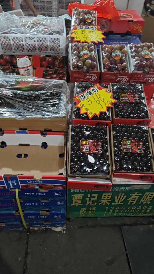 海吉星市场
