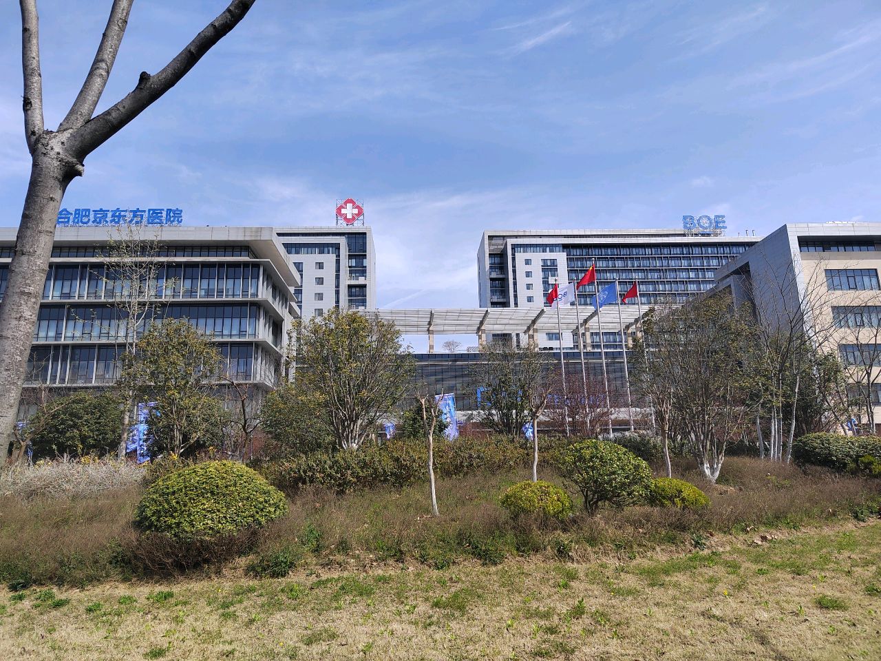 合肥京东方医院-健康管理中心