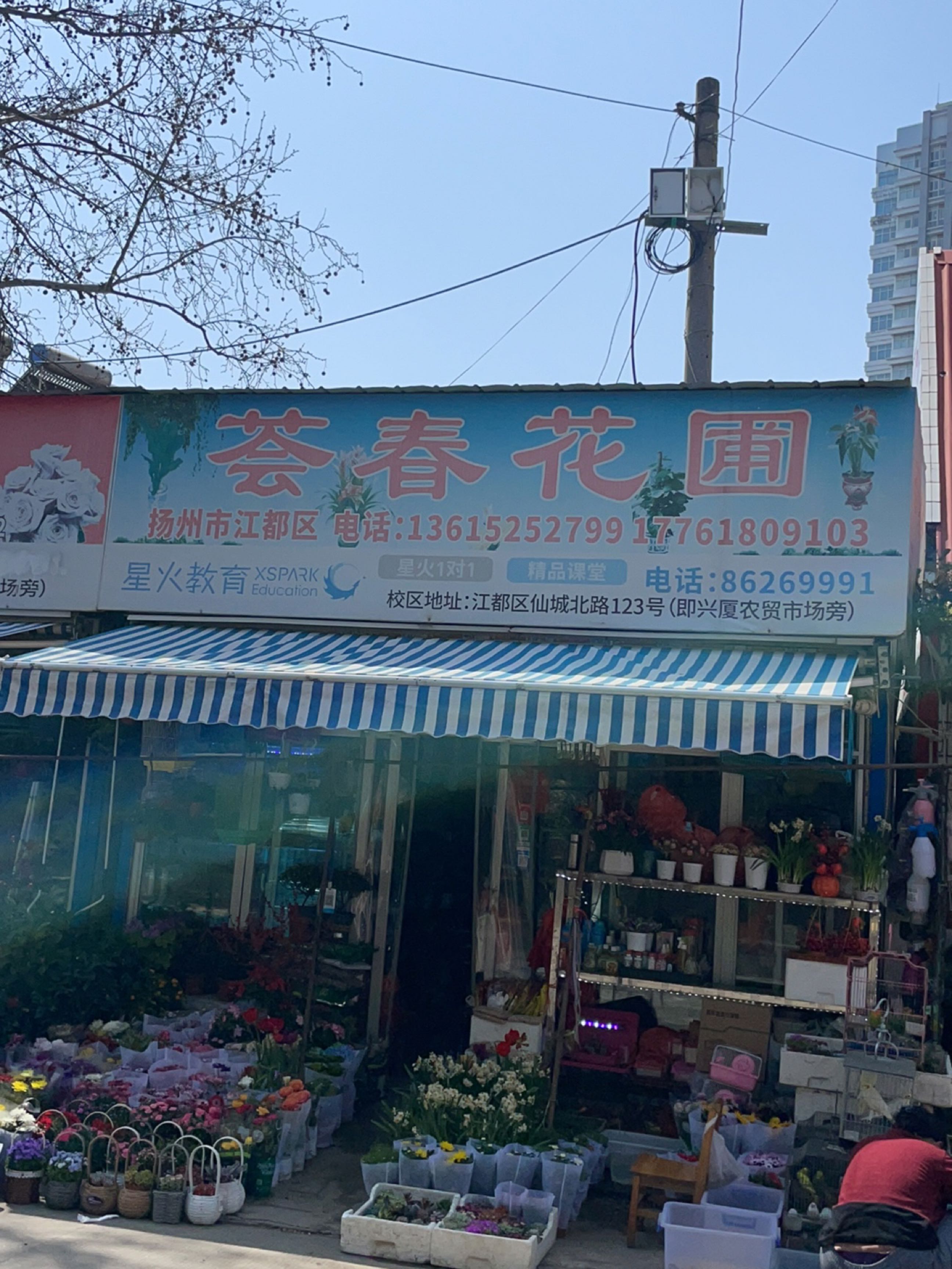 荟春花圃