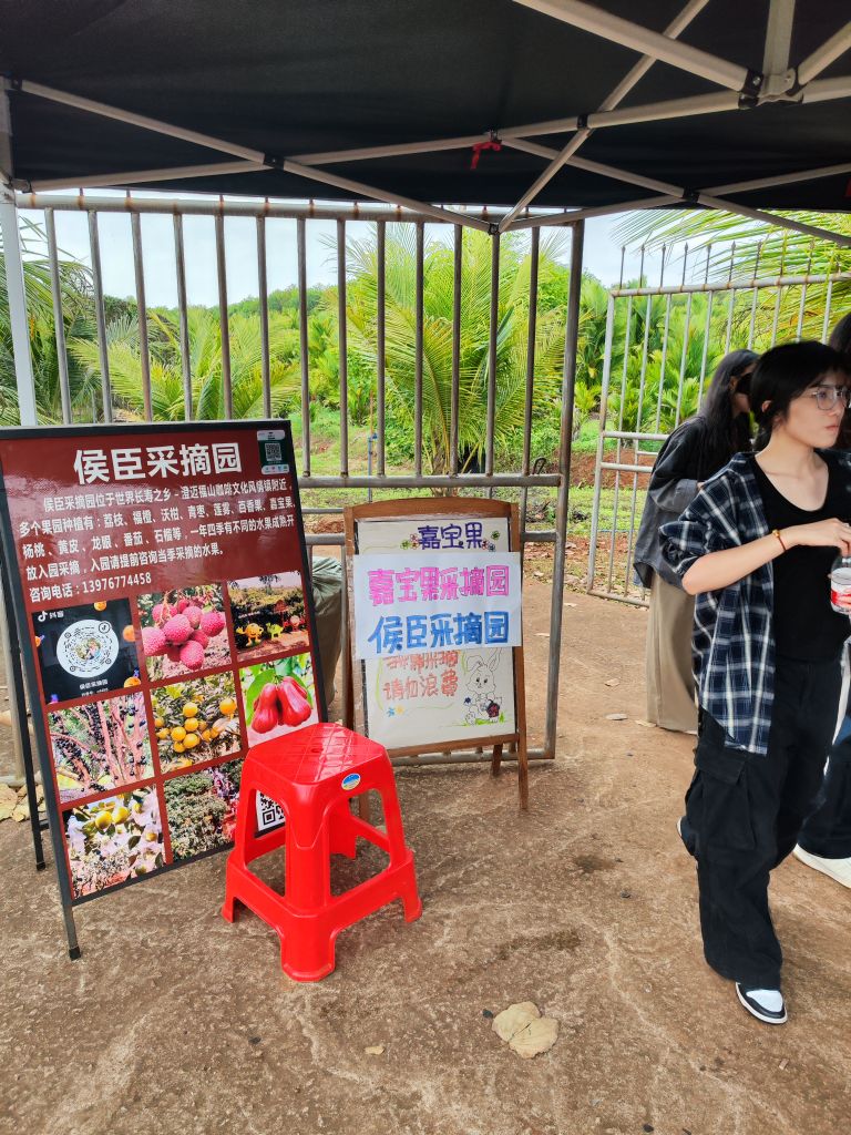 嘉宝果采摘园