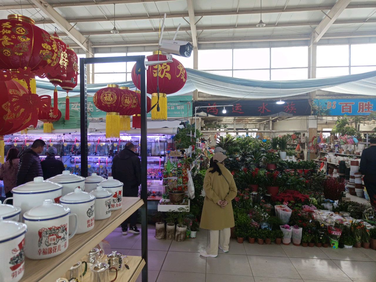 鸿运水族