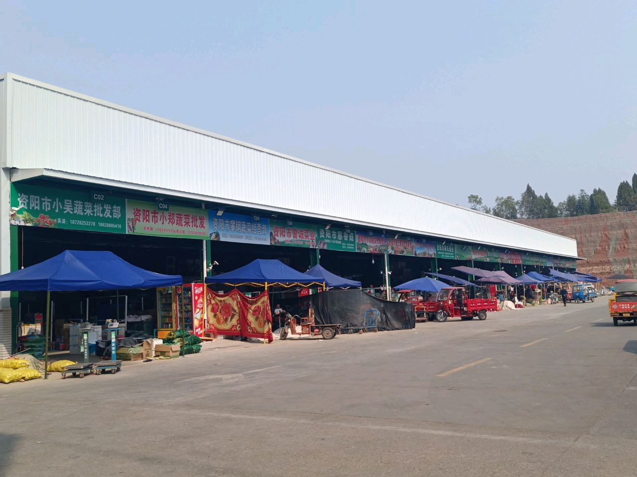 资阳市廖香菇