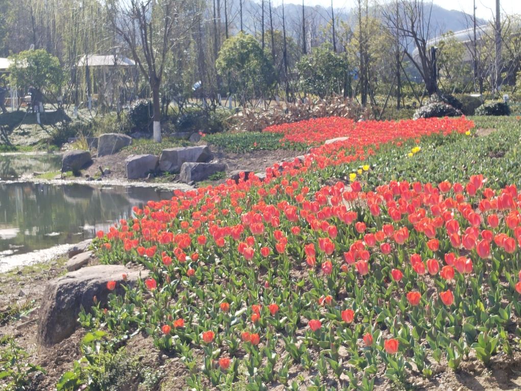 定海湿地公园