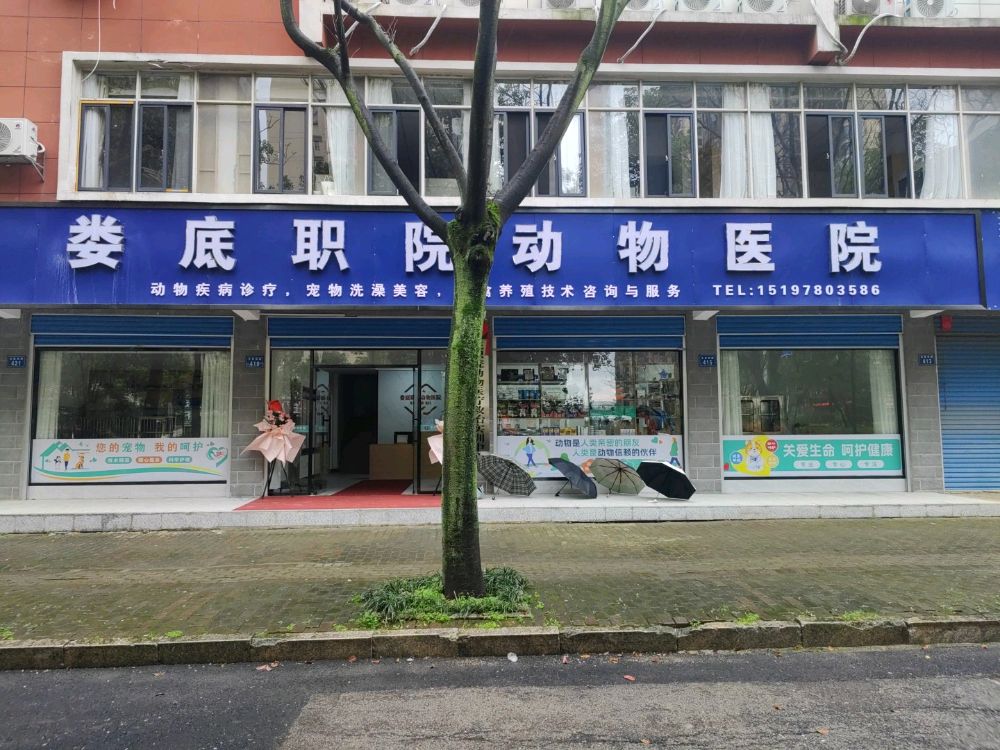 娄底职院动物医院