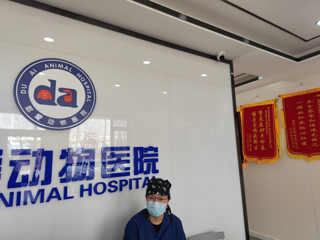 都爱动物医院