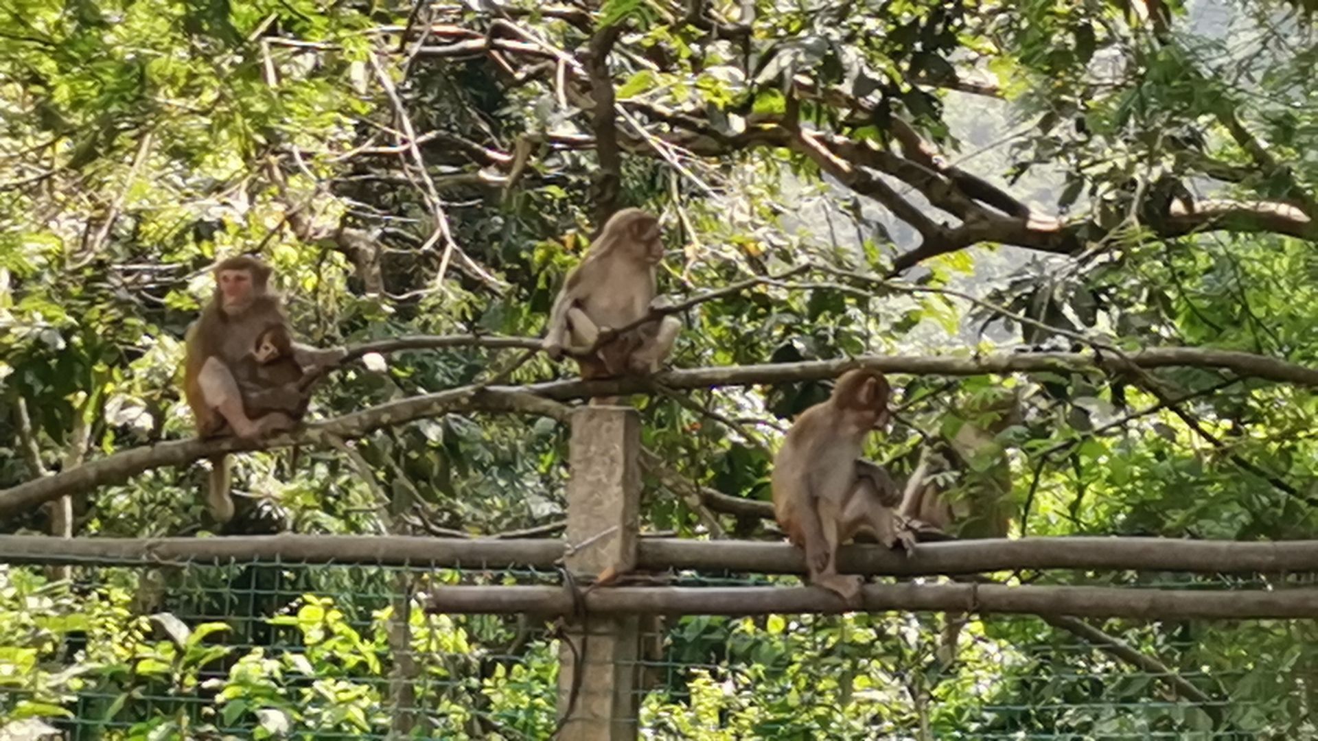龙虎山风景区-游客中心