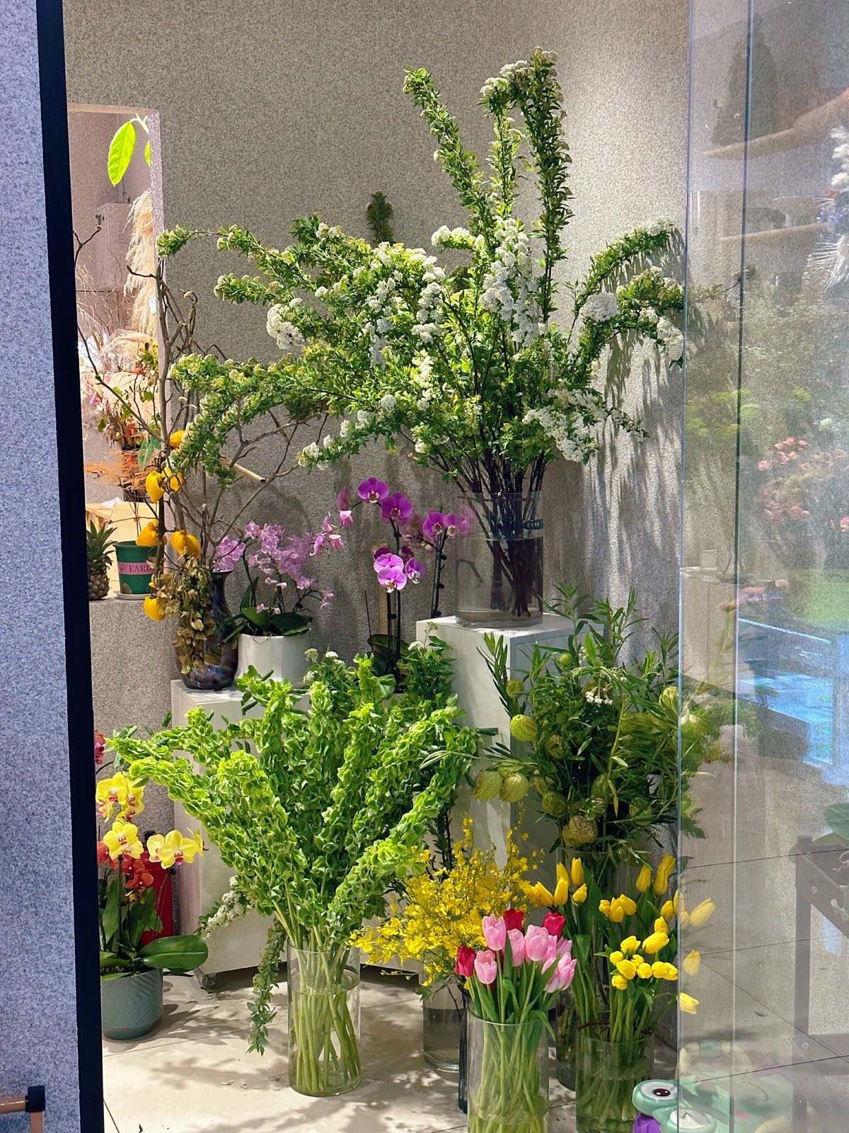 花花呆