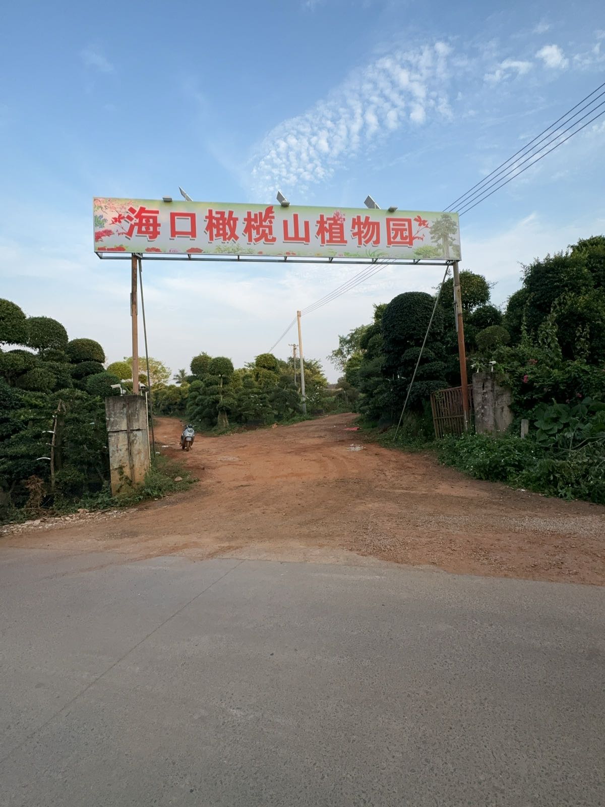 海口橄榄山植物园