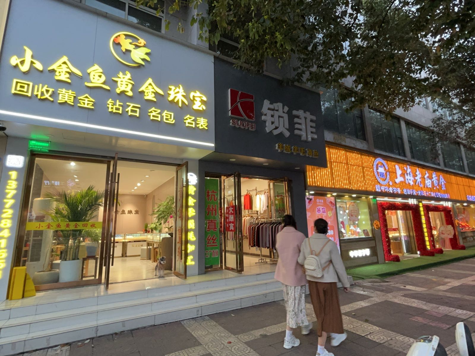 小金鱼黄金珠宝