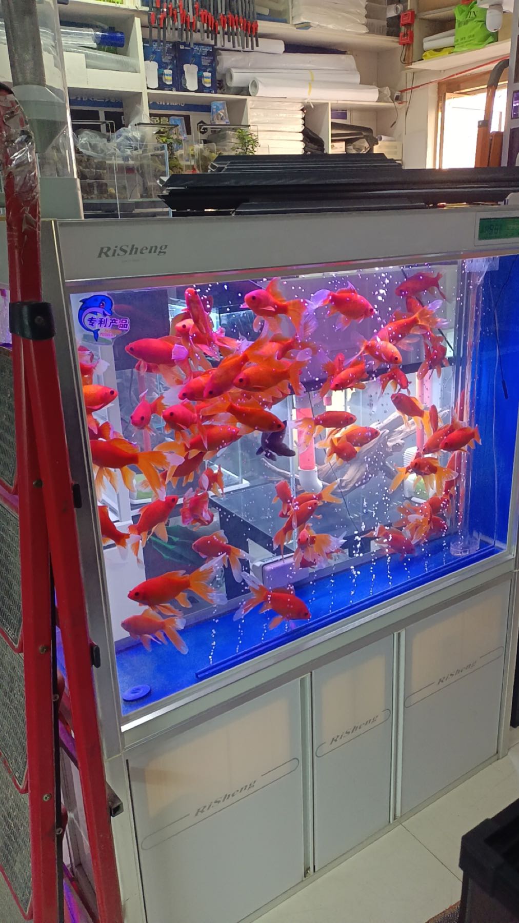 鑫水湾水族