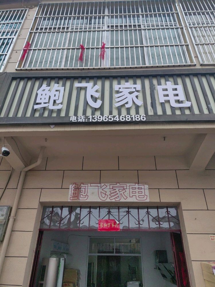 鲍飞家电