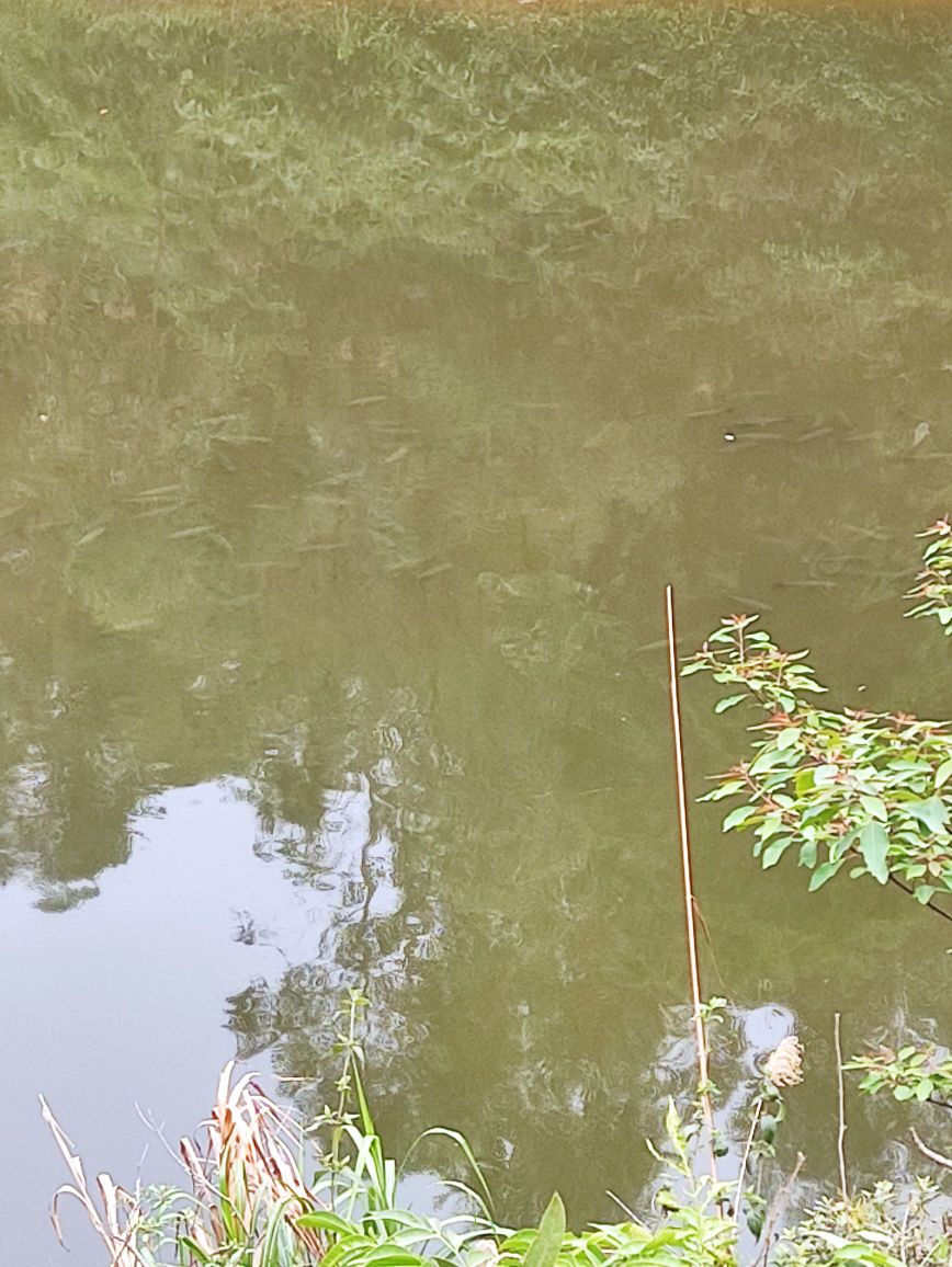 八一水库垂钓俱乐部