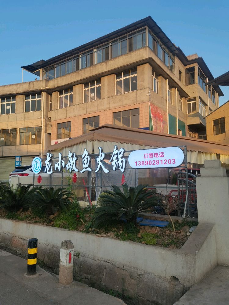 龙小敏鱼火锅