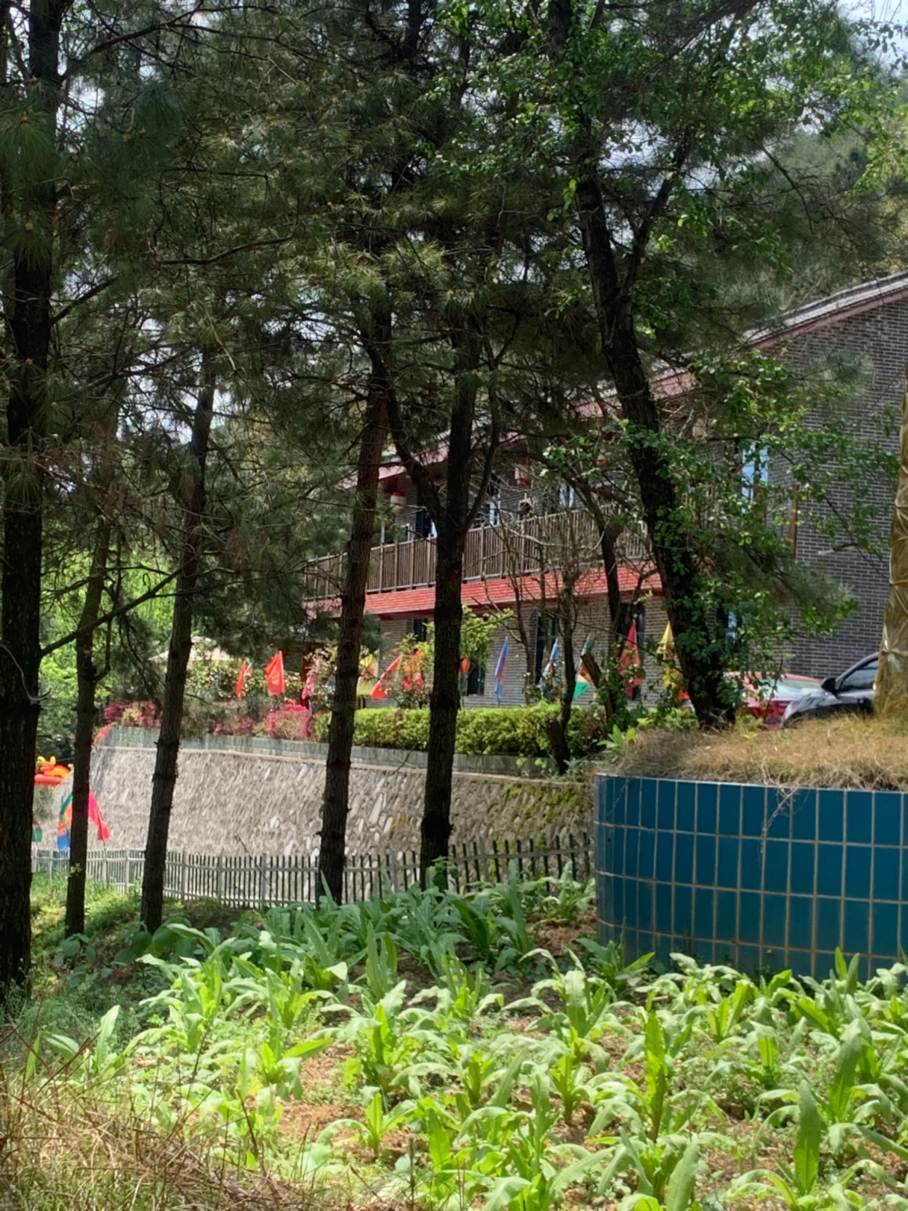 十一生产队庄园