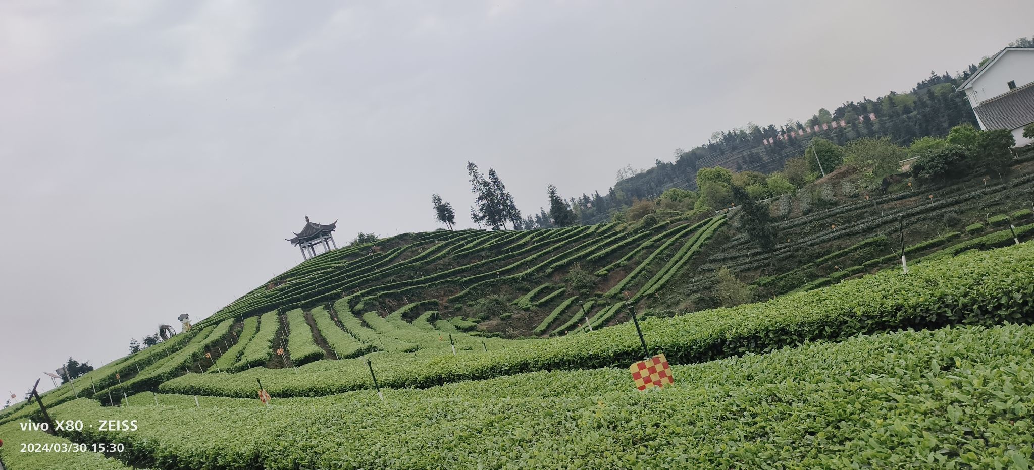 梅岭茶山公园