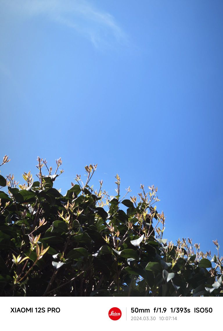 涂拐村