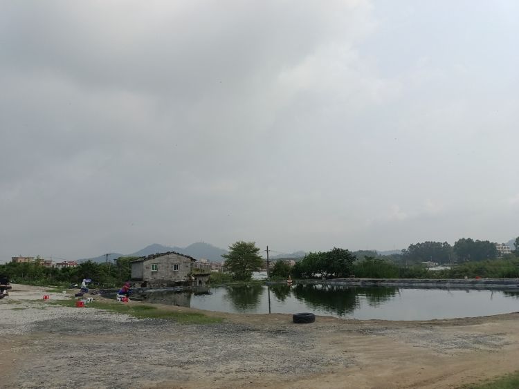 云兴隆大物塘钓场