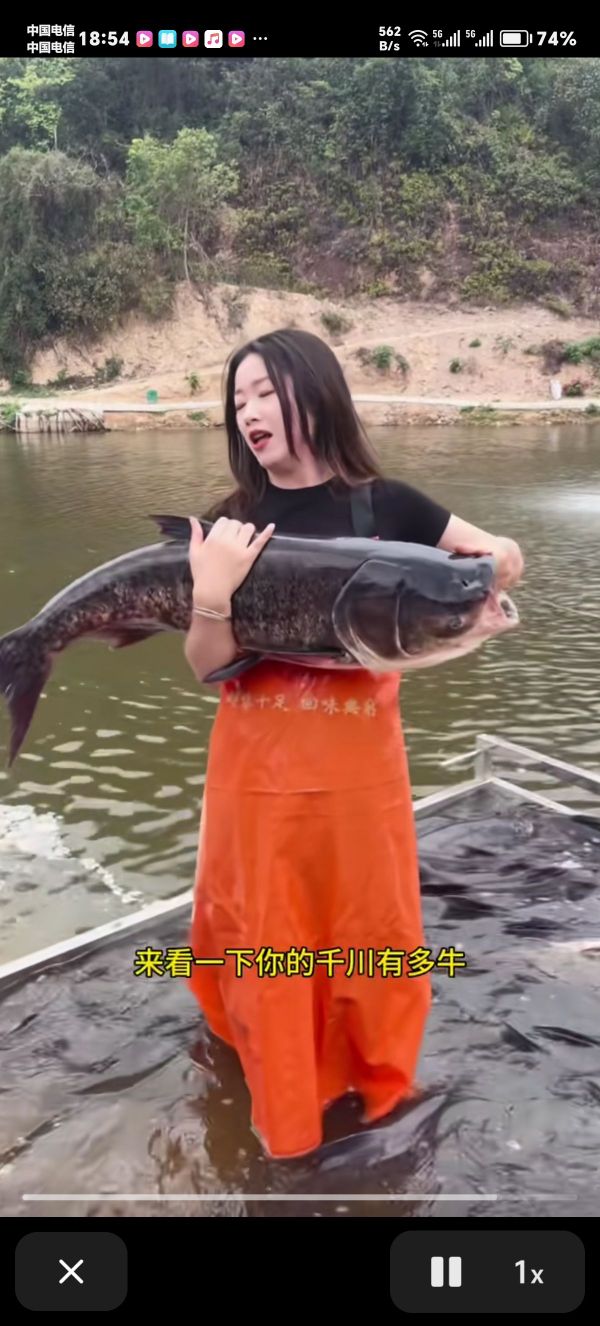 何伯田水库钓鱼场