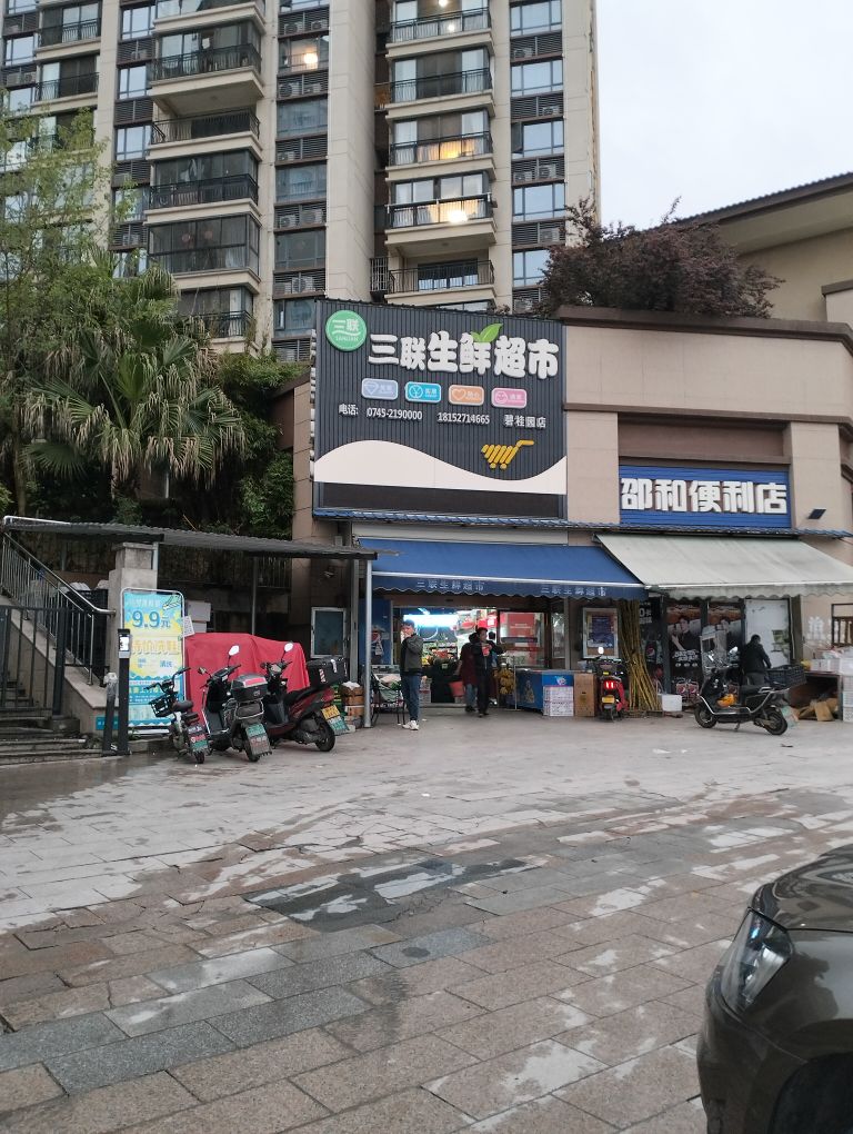 三联生鲜超市(怀化碧桂园店)
