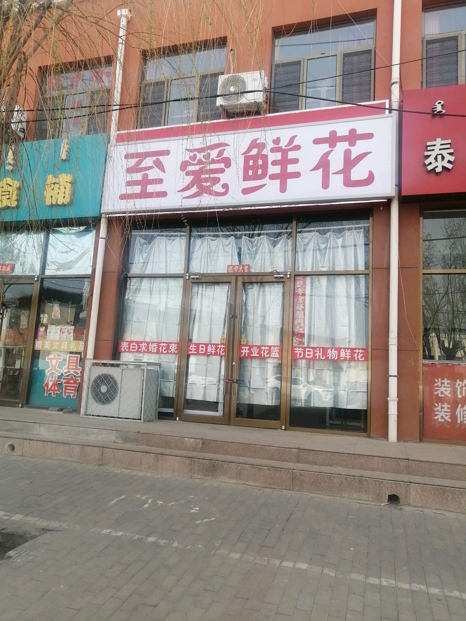 至挫喷爱鲜花
