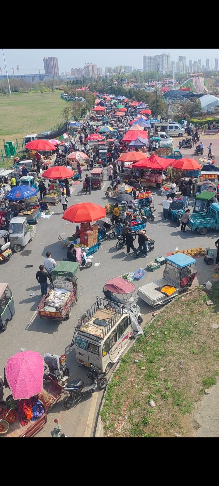 太和县猫狗大市场