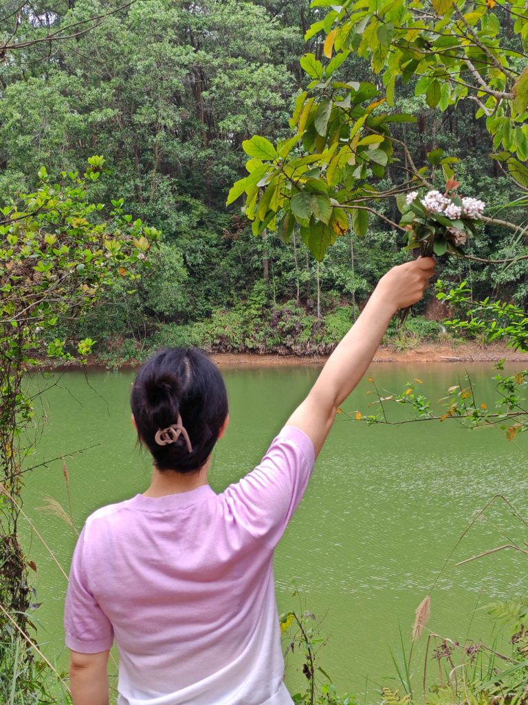 雁鸣湖