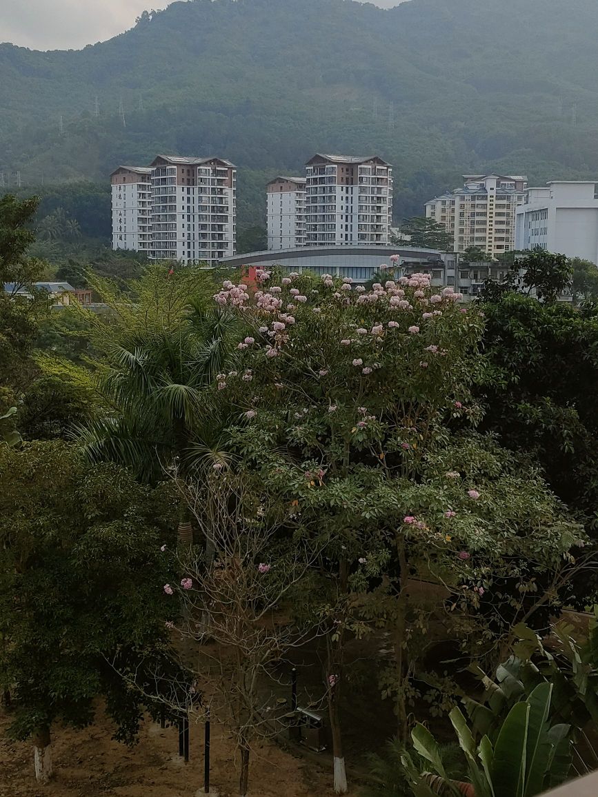 南圣花卉展销点