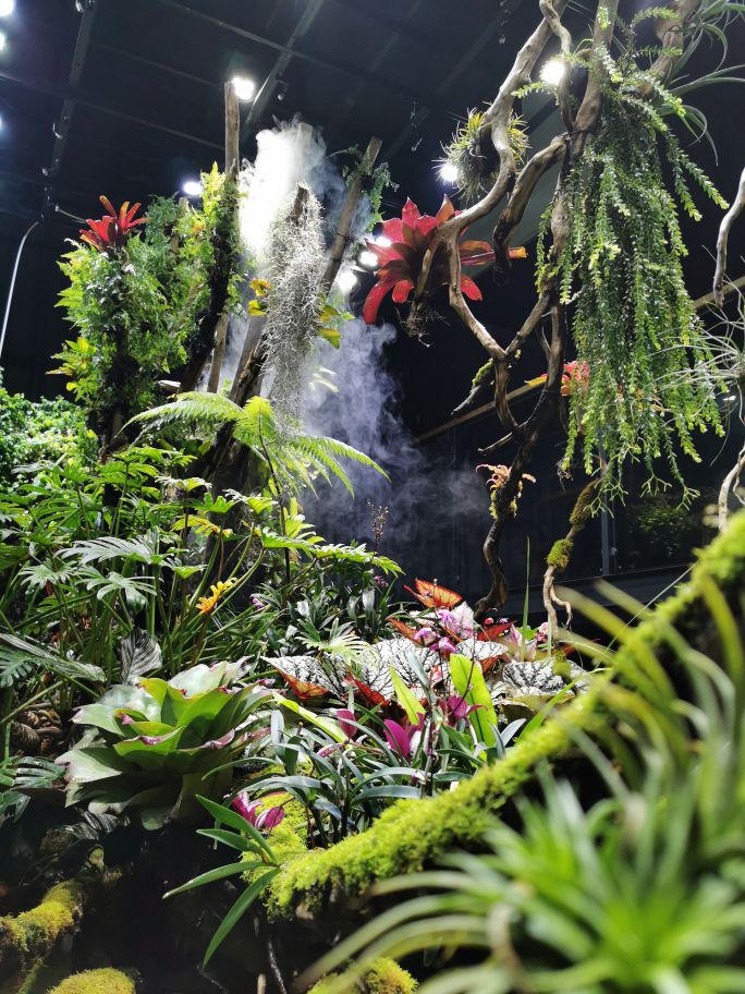 睿洋水景花房