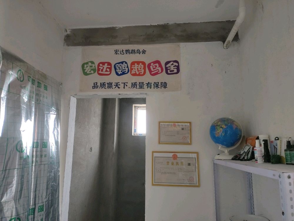 平鲁区爱宠宠物直销店