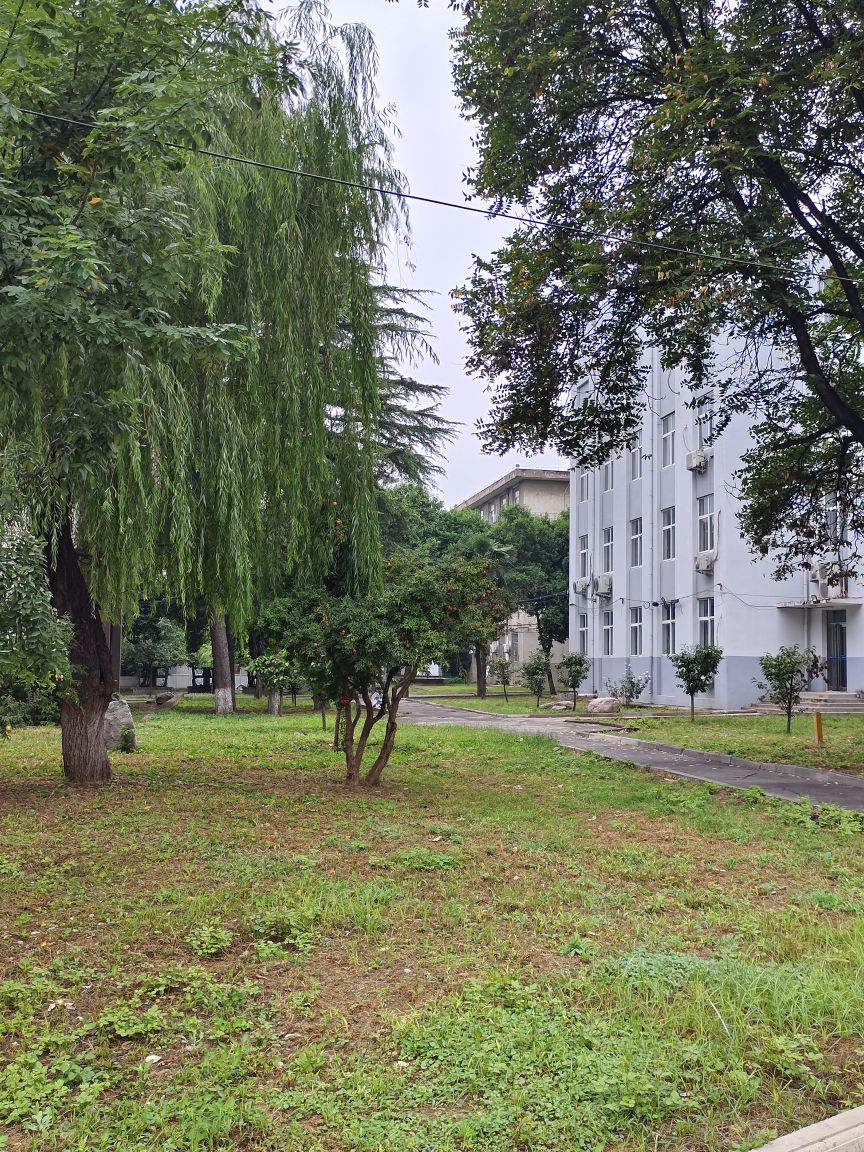 焦作大学分院-北门