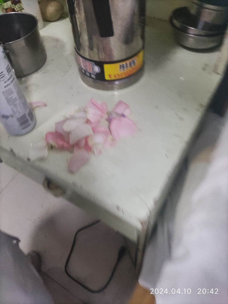 蒂朵鲜花