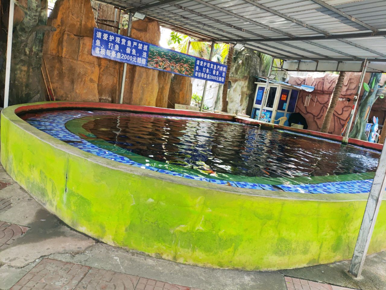 海南国际旅游岛吃奶鱼